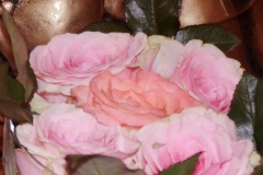 106130183408150019